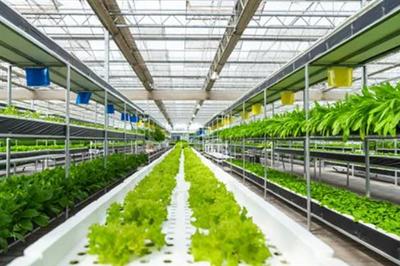 強(qiáng)化農(nóng)業(yè)科技創(chuàng)新與應(yīng)用的內(nèi)容,需實(shí)施現(xiàn)代種業(yè)科技支撐等行動