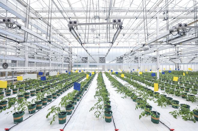 種濟天下,通達未來