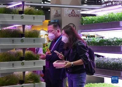 進(jìn)博會上的農(nóng)業(yè)革命 集裝箱里種菜看種業(yè)創(chuàng)新