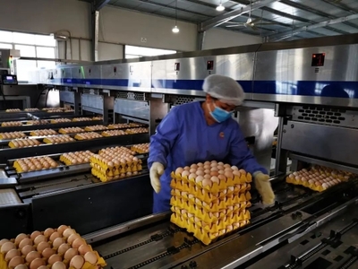 廣州入選國家級名單 種業(yè)發(fā)展獲國家認(rèn)可