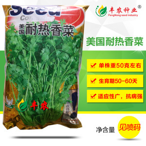 蔬菜香菜種子市場洞察 價格、供應商與種植前景