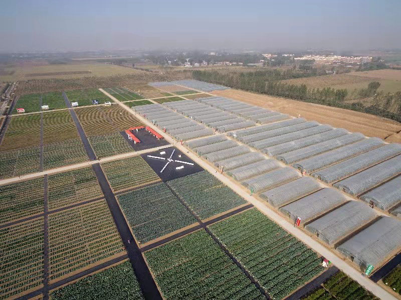 種業小鎮賦能農業強'芯'，構筑現代農業新引擎