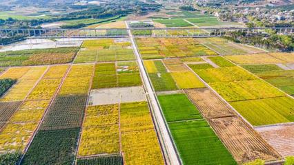 種業振興 筑牢大國糧倉的基石