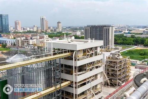 江海糧油張家港產(chǎn)業(yè)園二期榨油廠順利投產(chǎn)，年產(chǎn)96萬(wàn)噸助力種業(yè)與糧油產(chǎn)業(yè)鏈協(xié)同發(fā)展