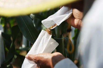 聚焦種業(yè)“破卡”，2021中國(guó)種子大會(huì)引領(lǐng)種業(yè)振興新篇章