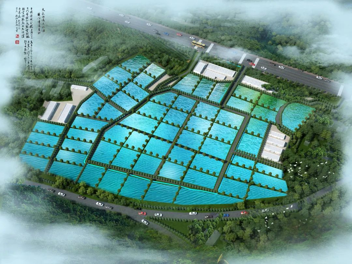 投資2.4億！水產巨頭落子九江，南海現代水產種業迎來強勁新引擎